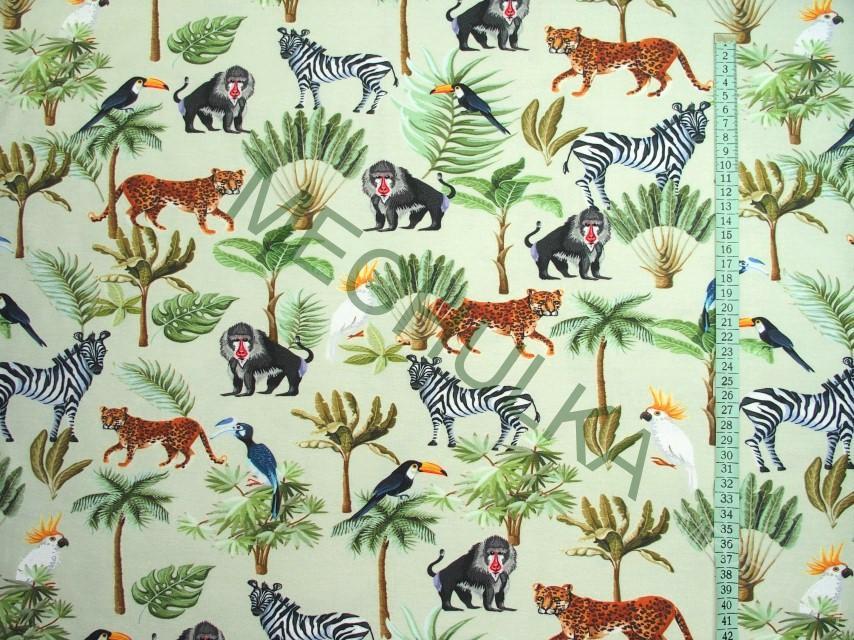 Zebra, leopard - ZBYTEK S KAZEM 0,61 m - opice a papoušci, bledě zelená DIGITÁLNÍ elastická tričkovina jednolíc, potištěný bavlněný úplet, látka metráž - VÝPRODEJ